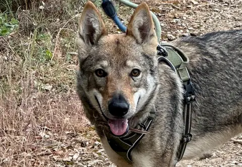 FREYA