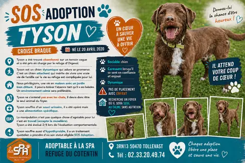 TYSON