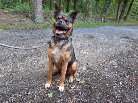 CYRIUS