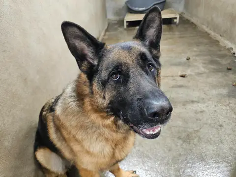 TITO photo 2