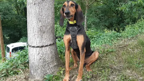 Viky photo 2