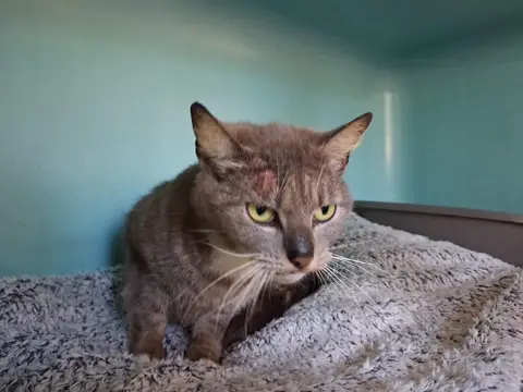 LUNA