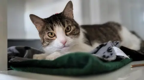 Minette photo 2