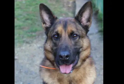 isko