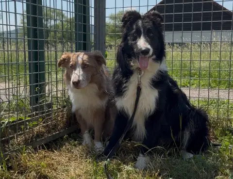 CASPER photo 2