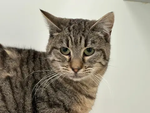 FREYJA photo 2