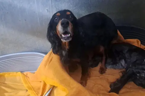 MIA