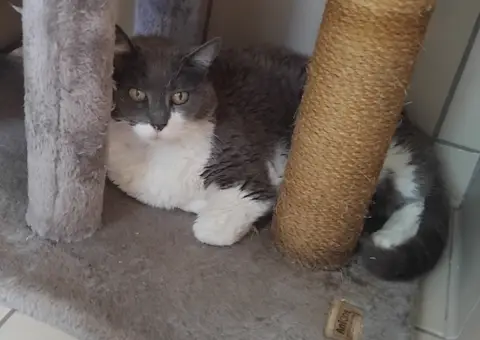 MINETTE