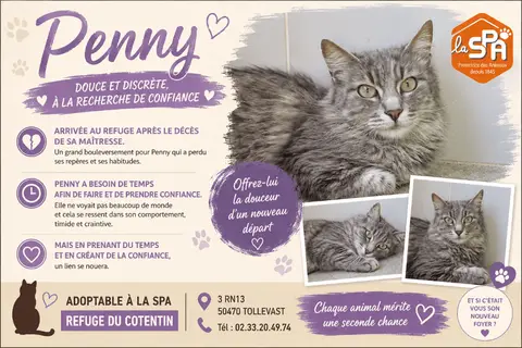 PENNY