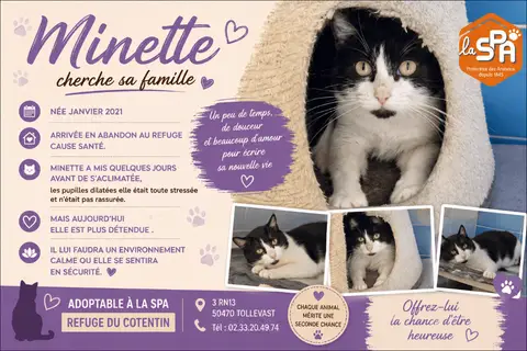 MINETTE