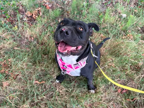 NALA
