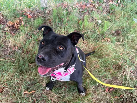 NALA photo 2