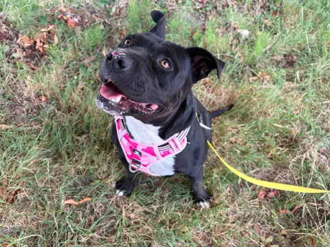 NALA photo 4