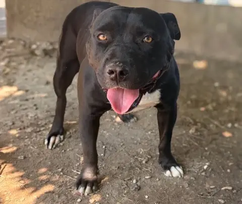 NALA photo 5