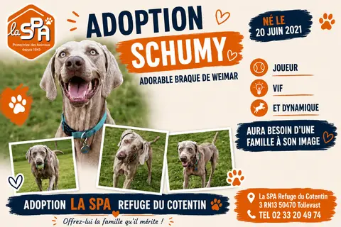 SCHUMY