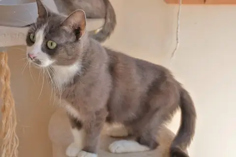 Duchesse photo 2