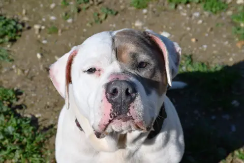 OSKO
