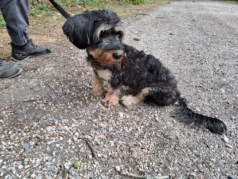 BELLA photo 2