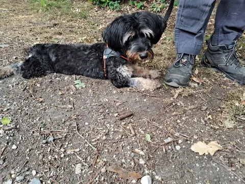 BELLA photo 3