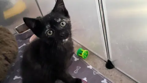 ESILA