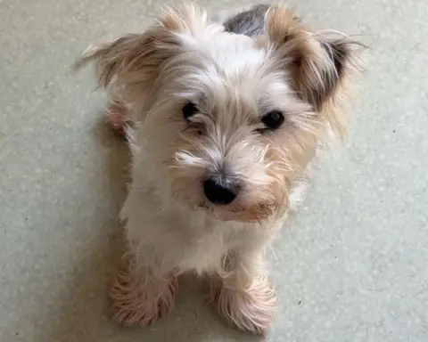 KENJI