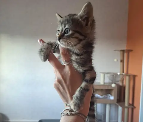 BOOP
