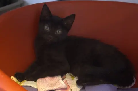 NOVA