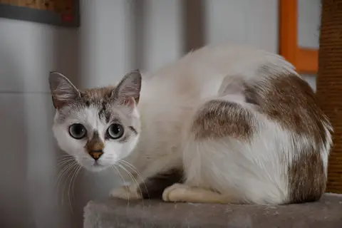 Molly photo 2