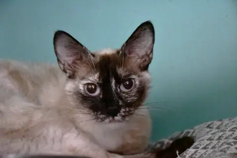 Tina