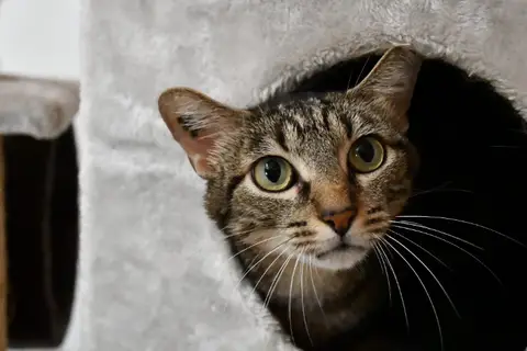marley