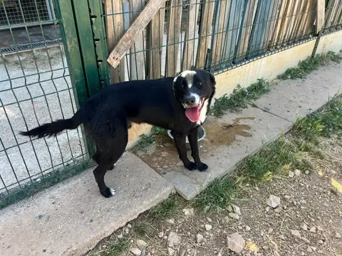 BILLY