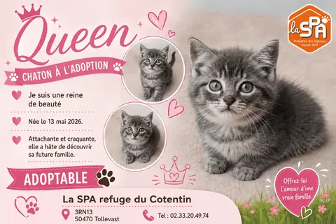 QUEEN  ( réservée )