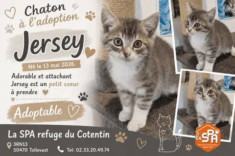 JERSEY