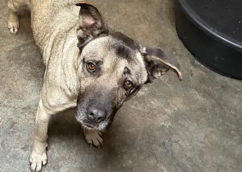 CHANA