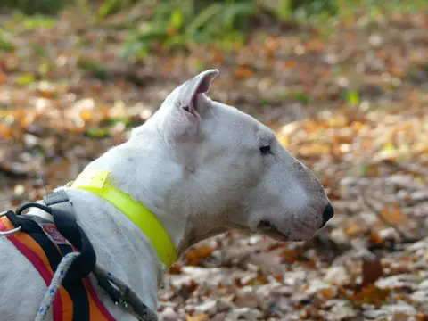 KAYA photo 3