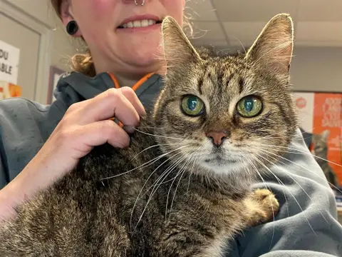 MAMA