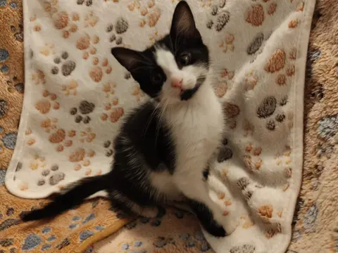 BABOUCHKA photo 4