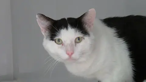 EDDY (réservé)