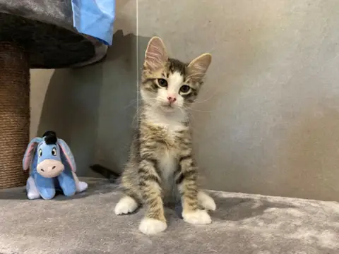 FARAMIR