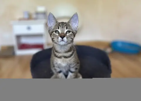 BERLIOZ