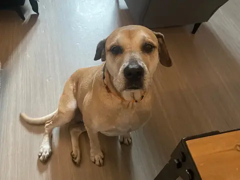 MILKA