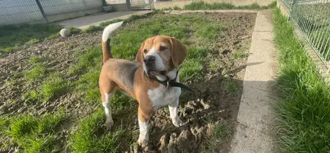 PACO photo 6