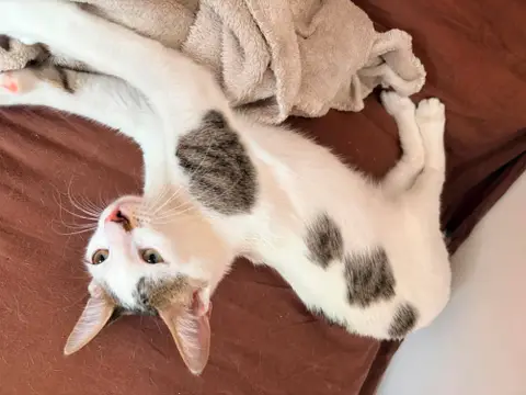 MILKA