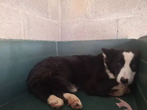 OTIS photo 2