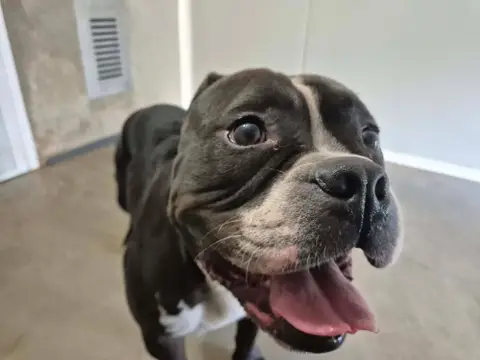 KIKI QCN photo 4
