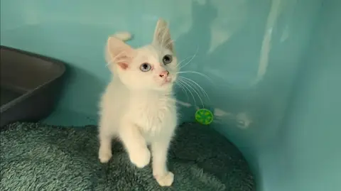 Minouch
