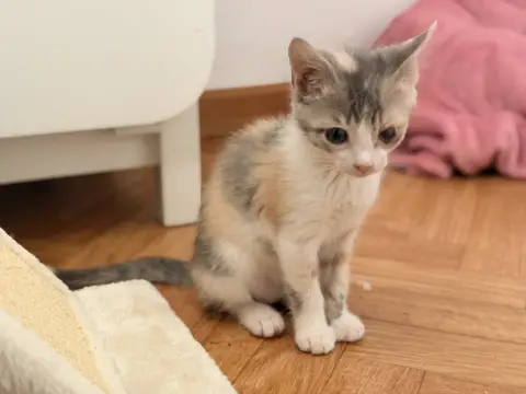 GLOUGLOU photo 4