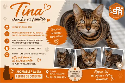 TINA