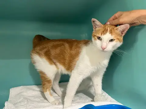 PERRY