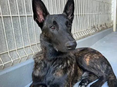 REX photo 2